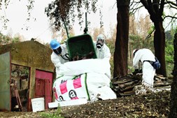 Remoção de amianto em Monchique 