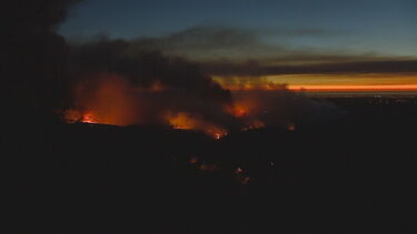 Oliveira de Azeméis, incêndio, bombeiros