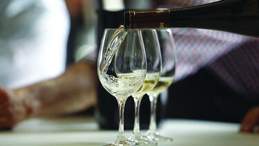 Oito detidos por suspeita de corrupção na produção de vinho verde