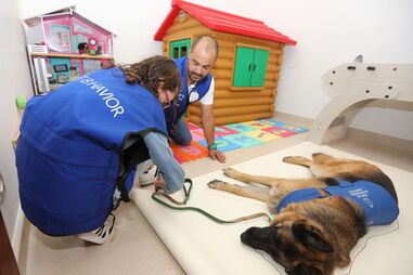 Pedro Paiva, especialista em comportamento animal, ajuda crianças