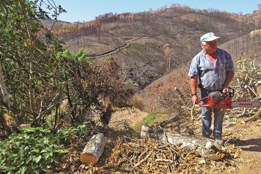 Baltasar da Silva é um dos muitos agricultores algarvios que sofreu vários prejuízos com o incêndio em Monchique 