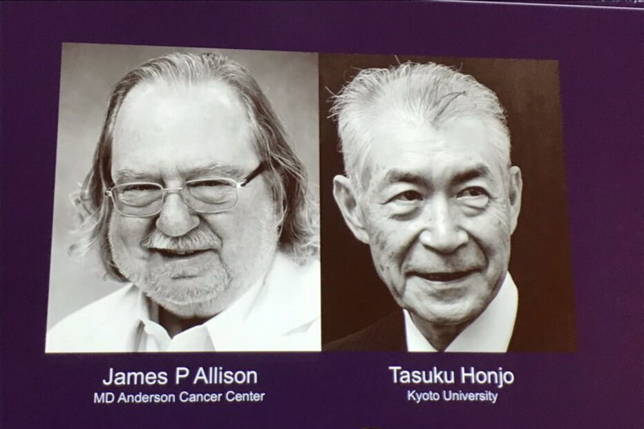 James P. Allison e Tasuko Honjo recebem Prémio Nobel da Medicina