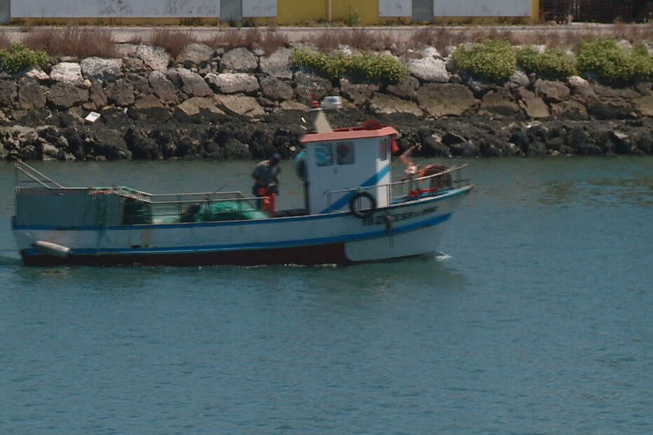 União Europeia, Portugal, Sardinha