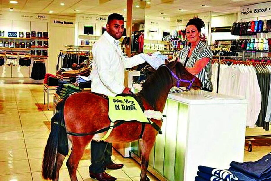 Cavalo-guia até ajuda nas compras