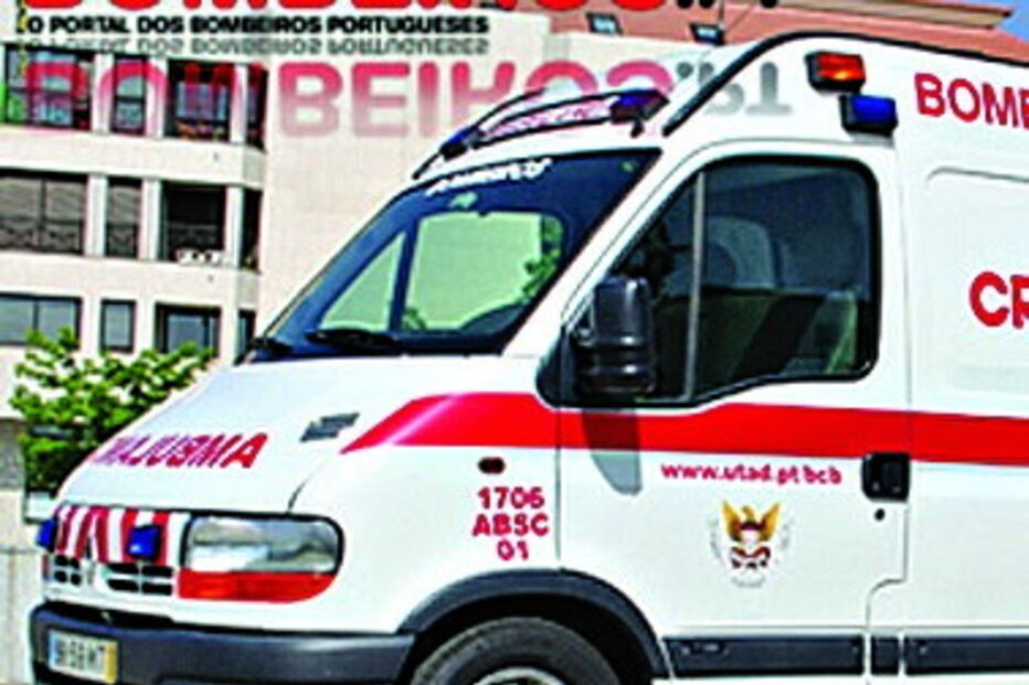 Ambulância atropela ovelhas em Vila Real