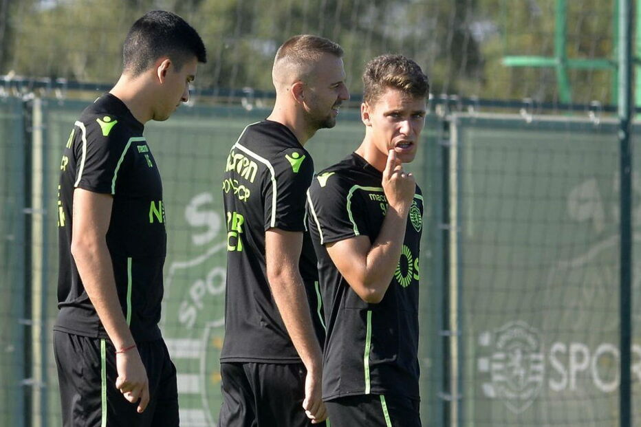 2018-10-03_10_41_33 16940661.JPG