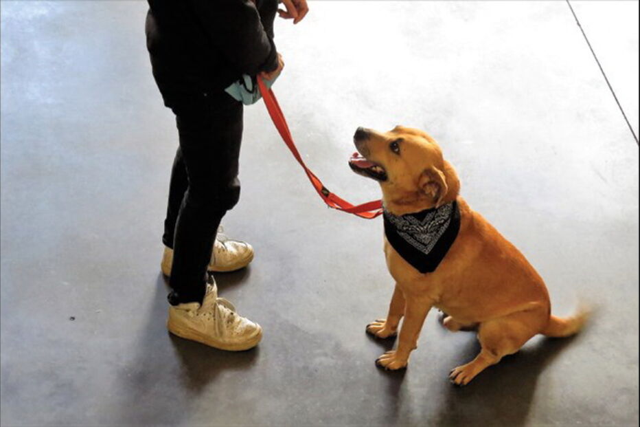 2018-10-03_12_35_18 IMG_7421_V2.jpg