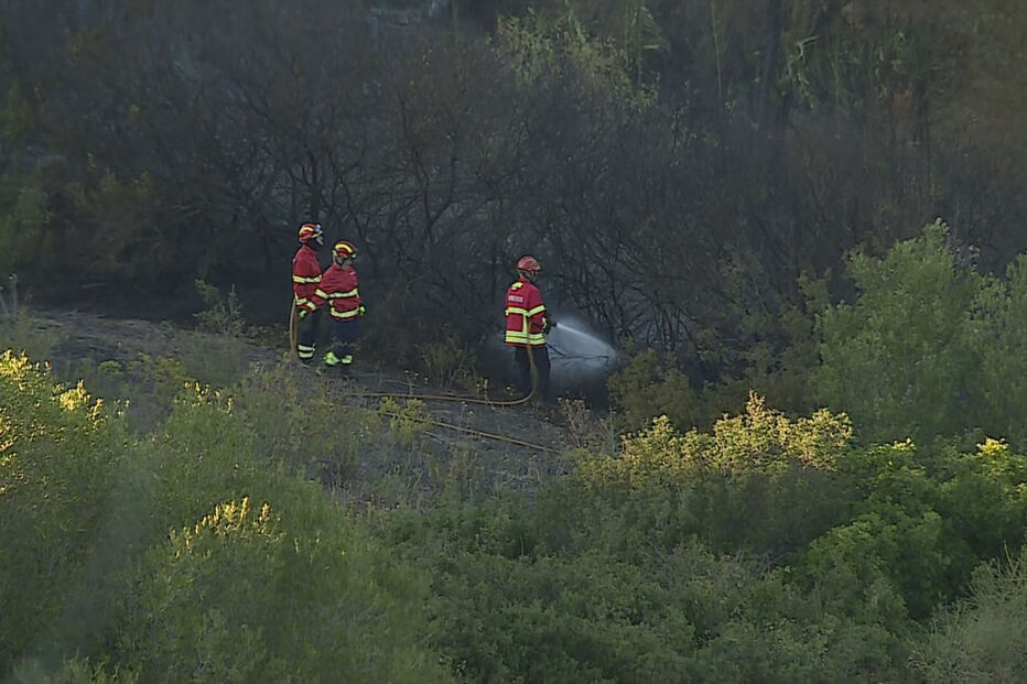 Incêndio em Oeiras ameaçou várias habitações