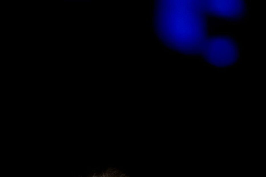 Morreu aos 85 anos a cantora espanhola Montserrat Caballé 