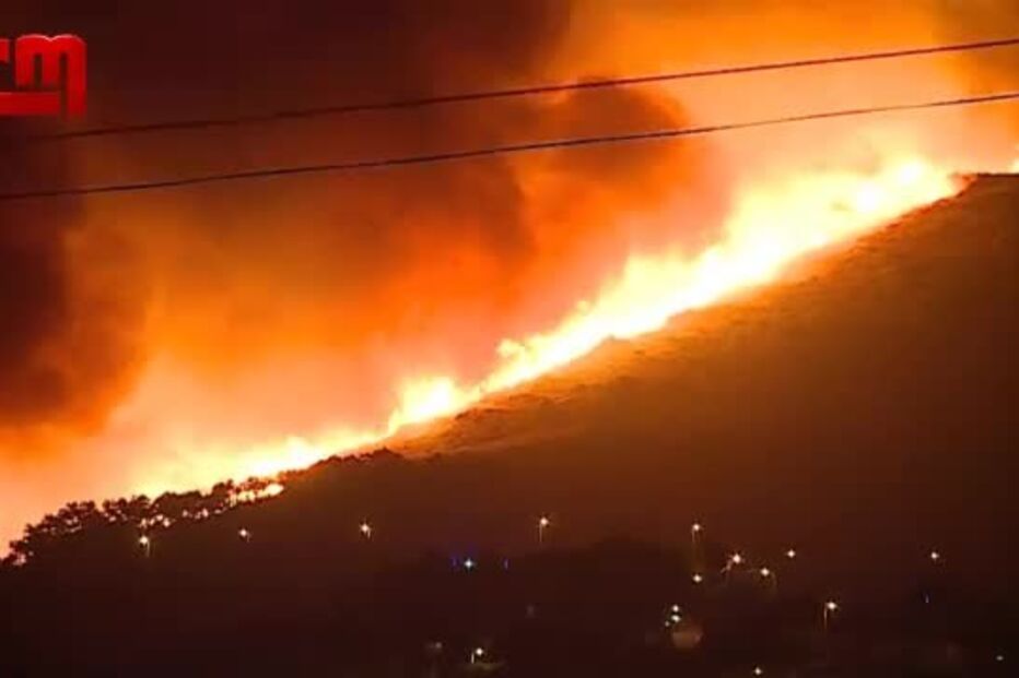 telefonema basílio horta