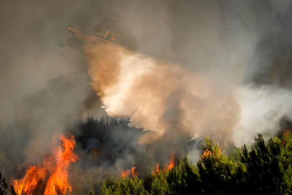 Fogo continua a lavrar com muita intensidade na serra de Sintra