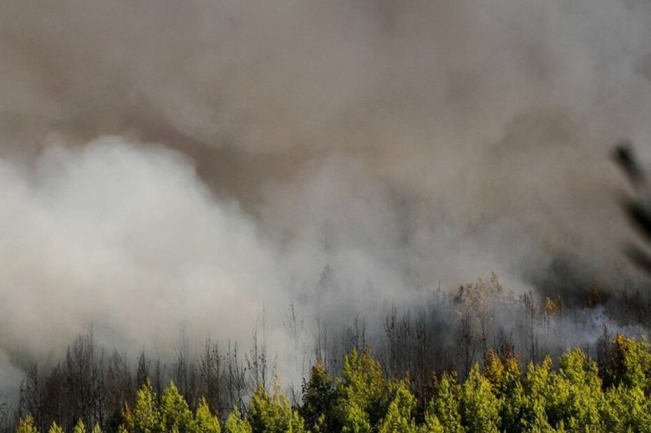 Fogo na serra de Sintra