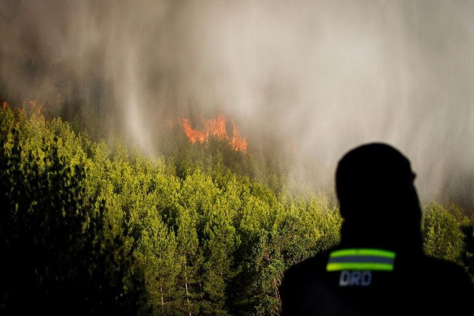 Fogo na serra de Sintra