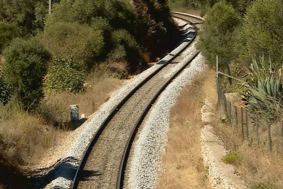 2018-10-08_12_23_00 showimage.jpg