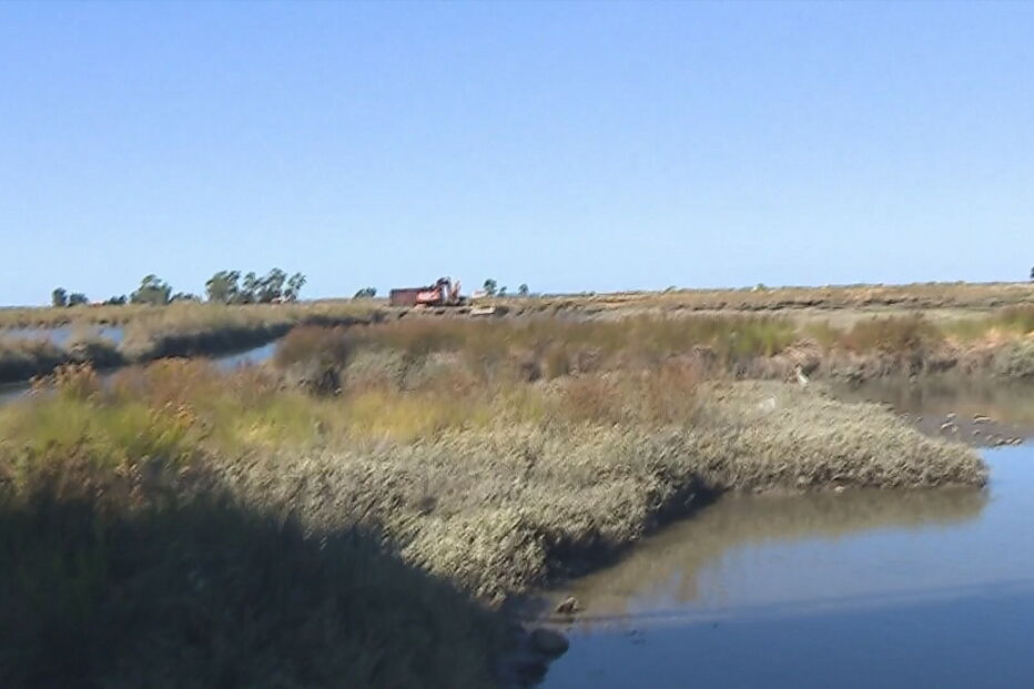 Idoso encontrado morto a boiar nas salinas de Aveiro