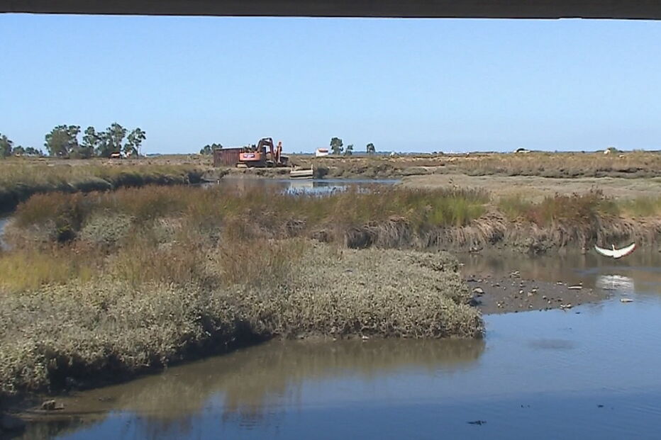 Idoso encontrado morto a boiar nas salinas de Aveiro