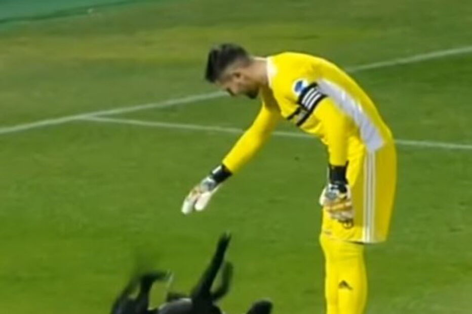 Cão invade relvado e protagoniza momento insólito em jogo de futebol 