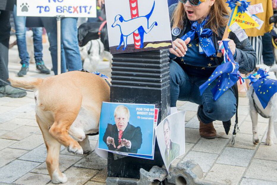 Cães protestam contra o Brexit