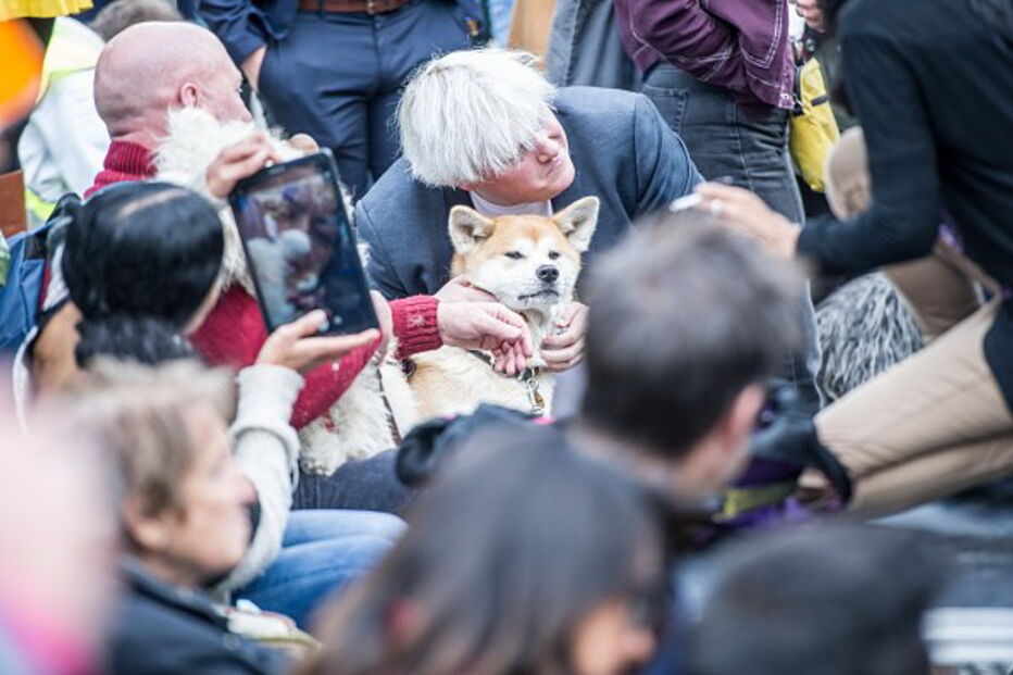 Cães marcham contra o Brexit