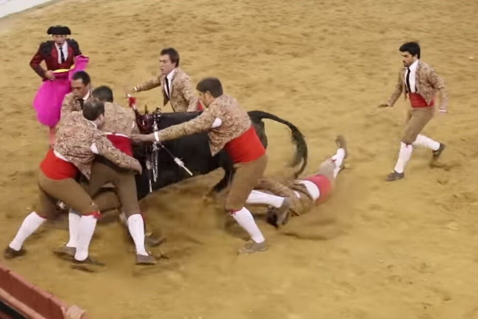 Forcado ferido com gravidade