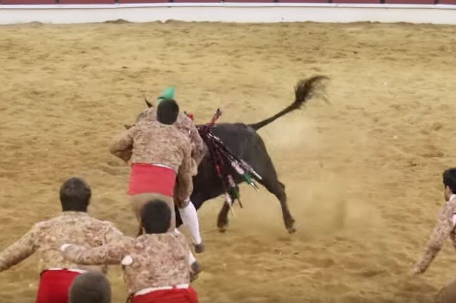 Forcado ferido com gravidade