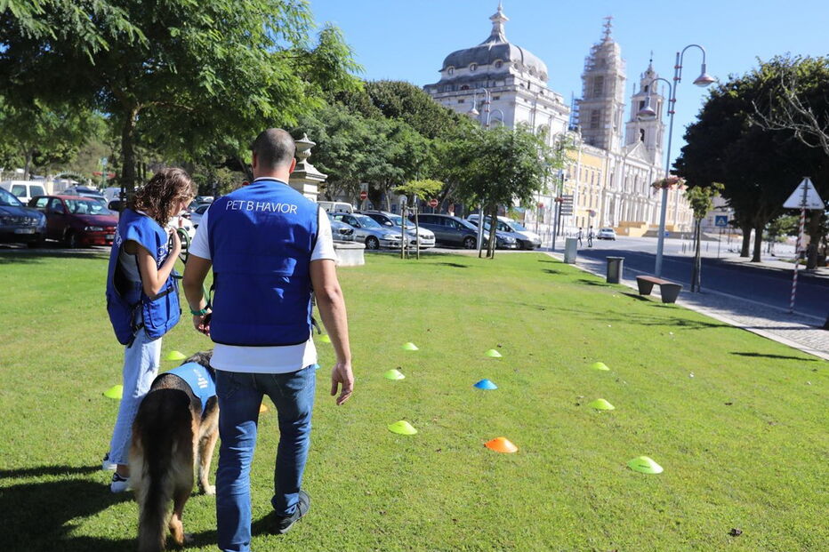 Pedro Paiva, especialista em comportamento animal, ajuda crianças