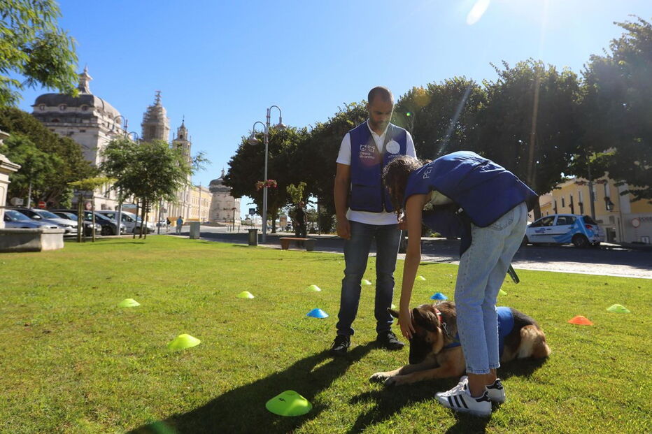 Pedro Paiva, especialista em comportamento animal, ajuda crianças