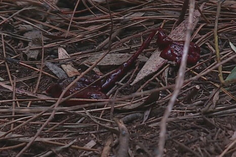 Homem esfaqueado junto a praia em Viana do Castelo