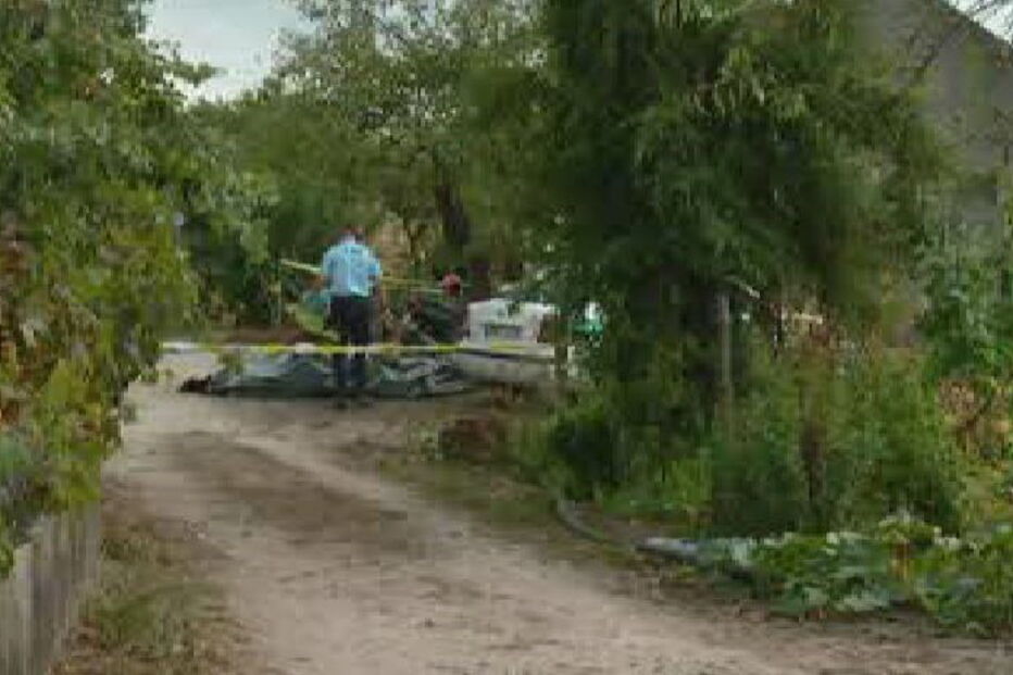 Carbonizado em Pelicanos