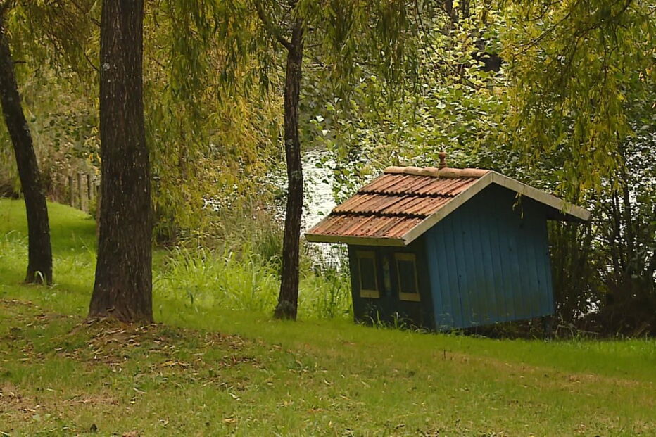 Animais mortos no Parque Urbano do Rio Ul, em S. João da Madeira, provocou choque e indignação na população  