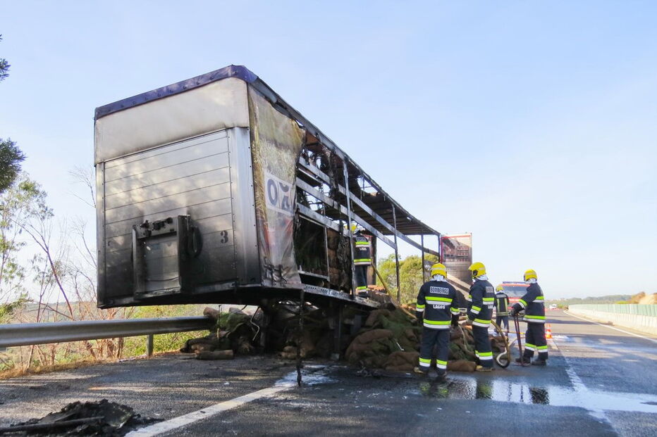 Camião cheio de relva arde na Via do Infante              