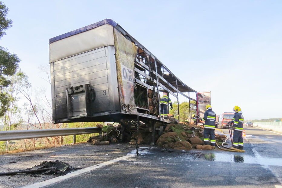 Camião cheio de relva arde na Via do Infante              