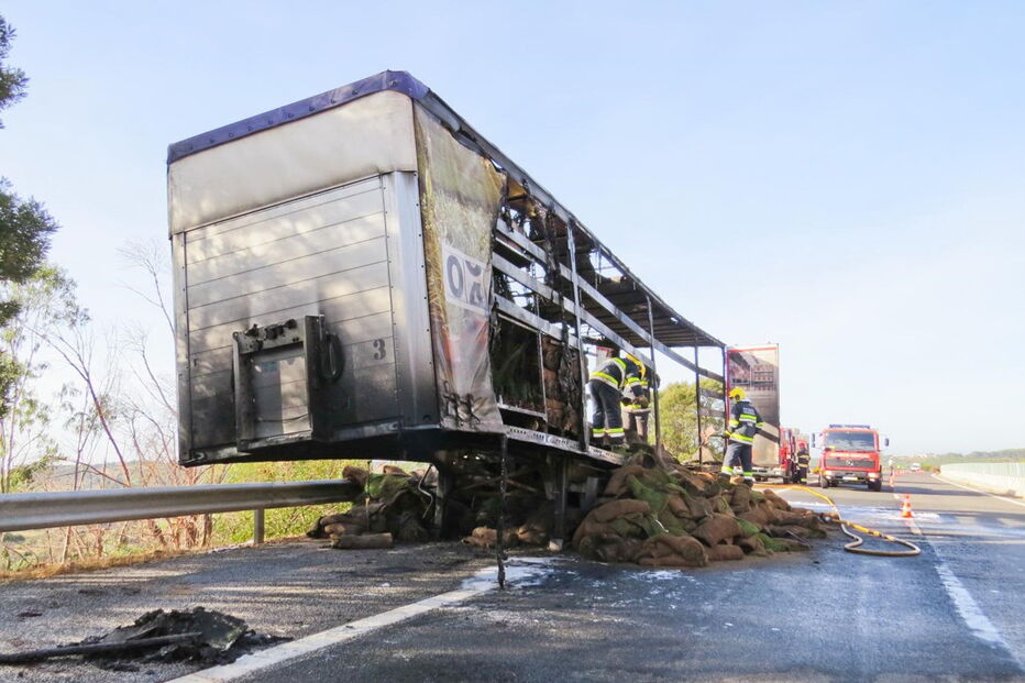 Camião cheio de relva arde na Via do Infante              
