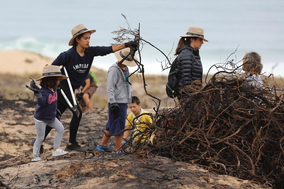 Reflorestação do Parque Natural Sintra-Cascais começou este sábado