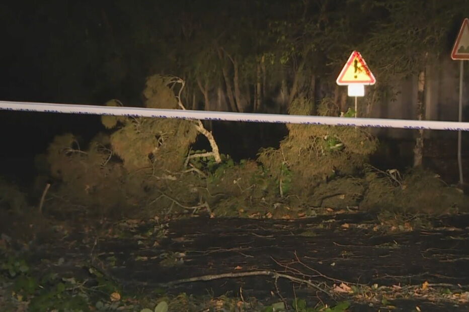 Queda de árvores durante a passagem do Furacão Leslie em Leiria