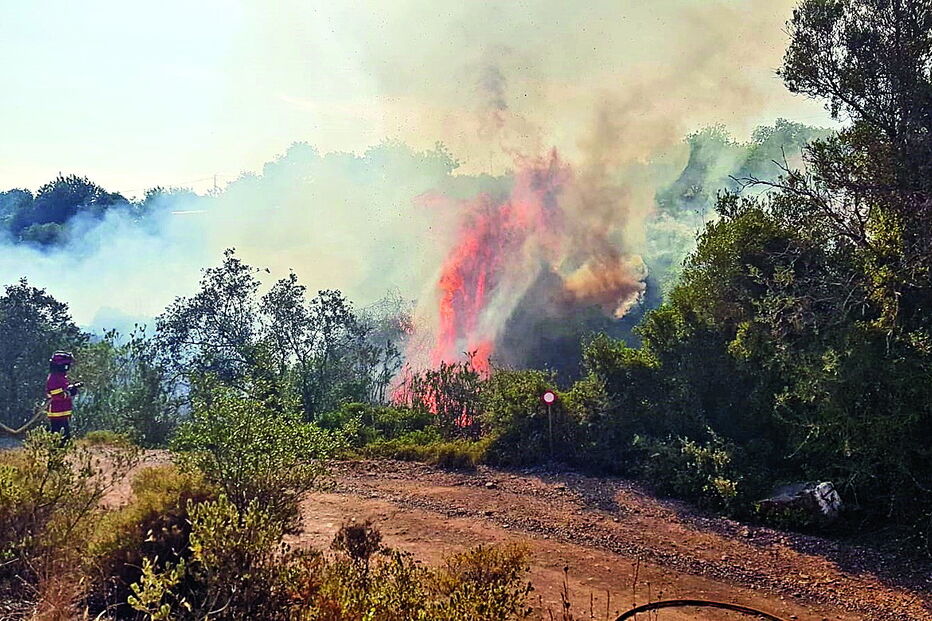 População contabilizou quase 10 incêndios suspeitos, na freguesia de Santa Catarina de Fonte do Bispo, desde agosto  