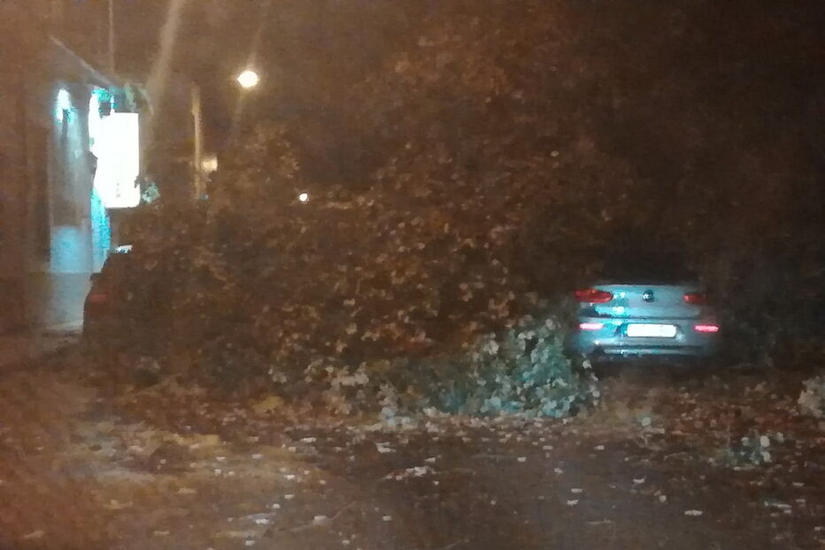 Força do furacão Leslie em Coimbra