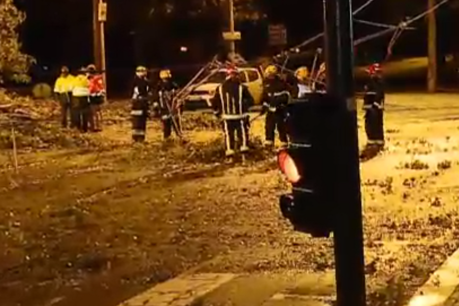 Queda de árvore corta linha do metro em Matosinhos