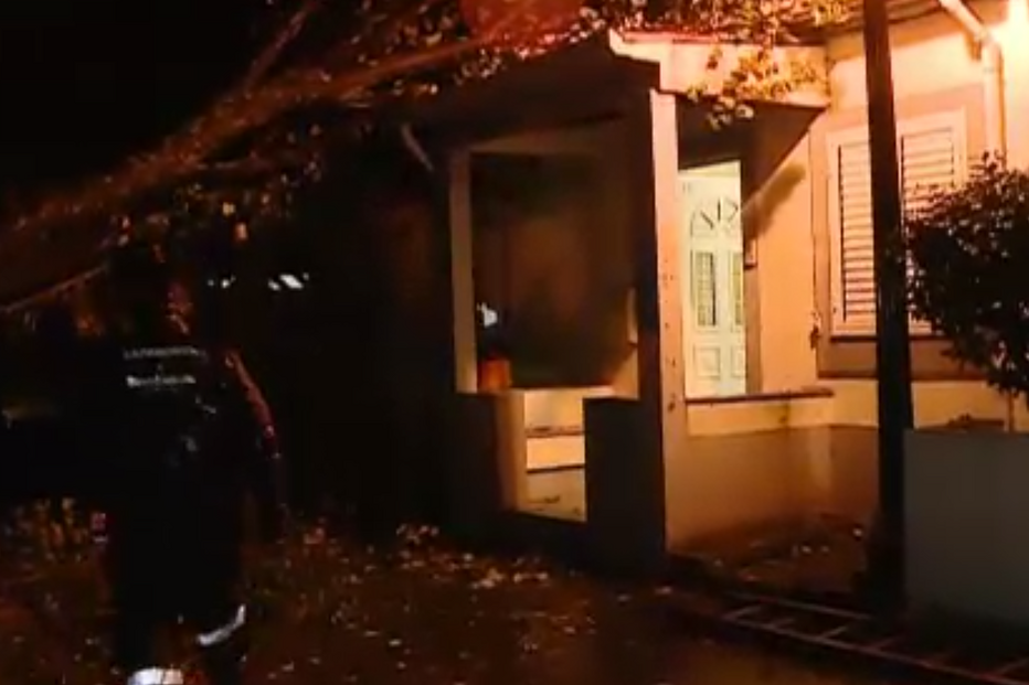 Árvore cai em cima de casa no Porto