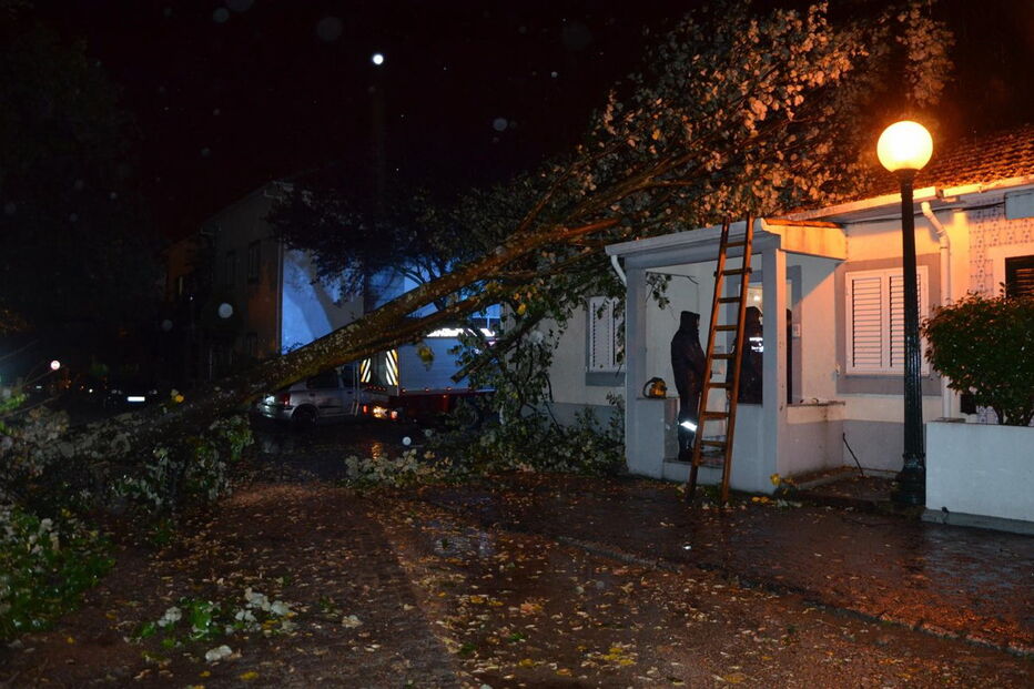 Casa atingida por árvore, no Porto