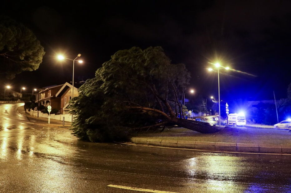 Leslie provoca pânico e deixa rasto de destruição em Coimbra
