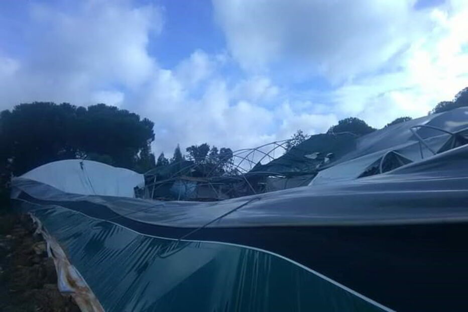 Efeitos do Furacão em Condeixa a Velha