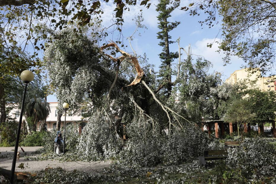 Figueira da Foz arrasada à passagem do furacão Leslie