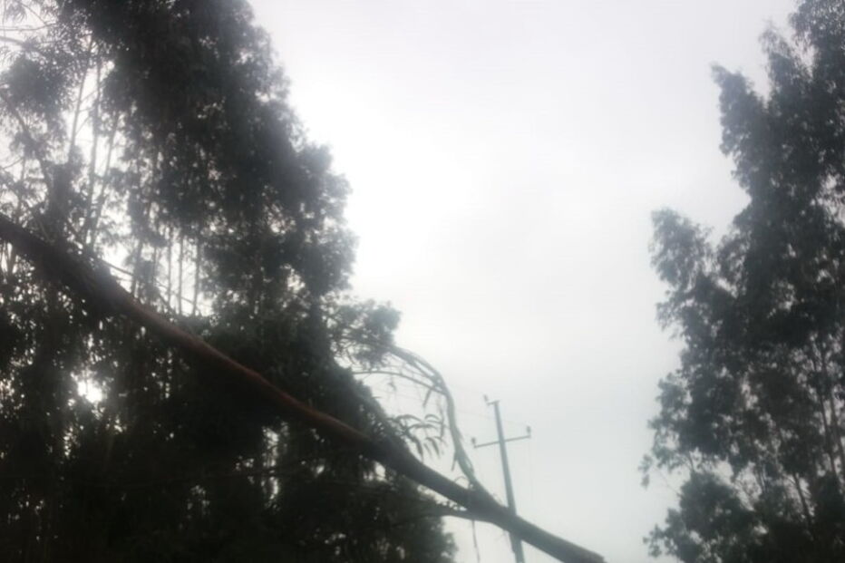 Danos na rede elétrica