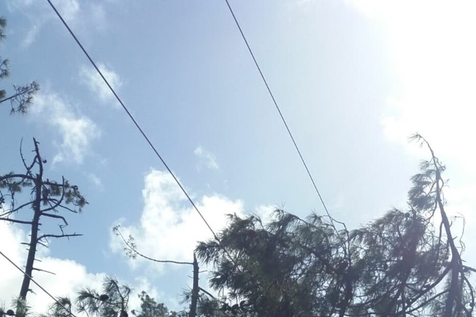 Danos na rede elétrica