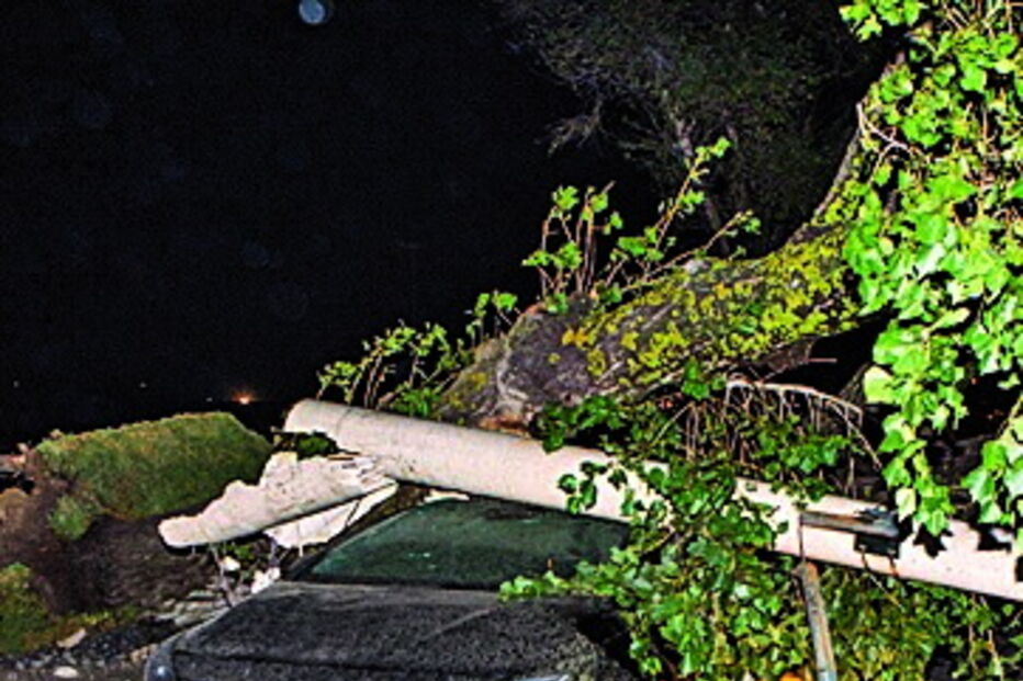 Coimbra e Pombal mais afetados