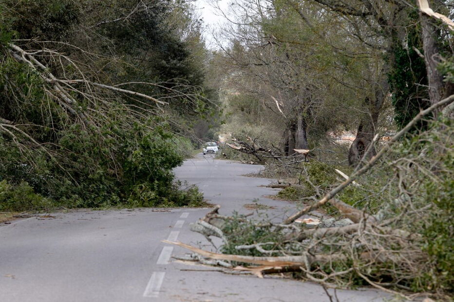 Estragos do Leslie em Montemor-o-Velho