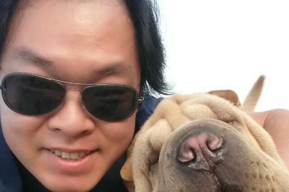 Cão acaba cego após passear em Viseu