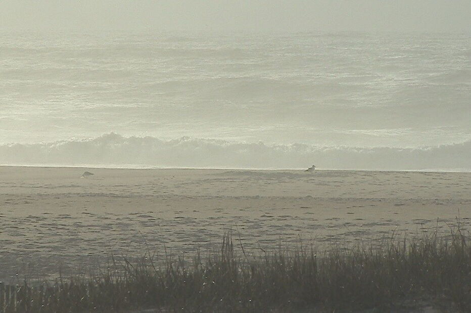 pescadores, Esmoriz, Aveiro