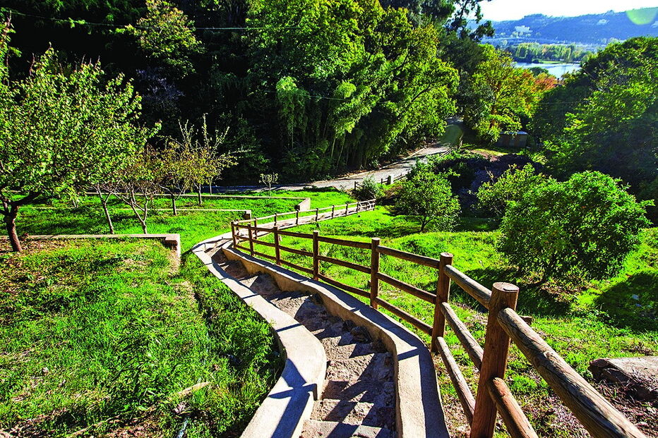 Botânico de Coimbra 